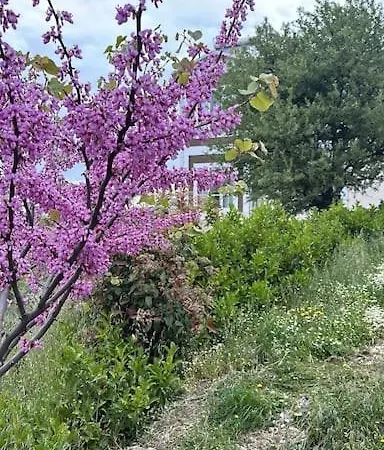 Villa Camlarla Cevrili, Esintili, Konforlu Dogal Yasam Godence